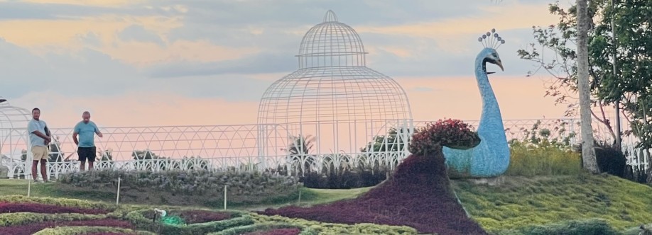 Mommy Sheng Cover Image