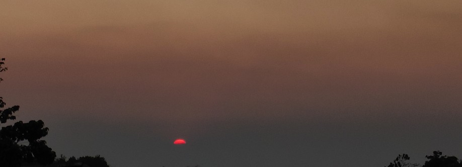 Elijah Leigh Osoteo Cover Image