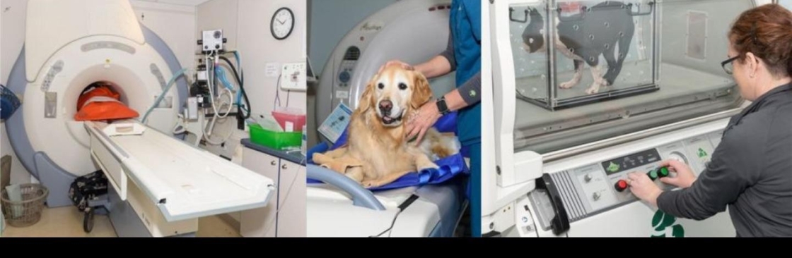 Veterinary Neurology & Imaging of the Chesapeake Cover Image